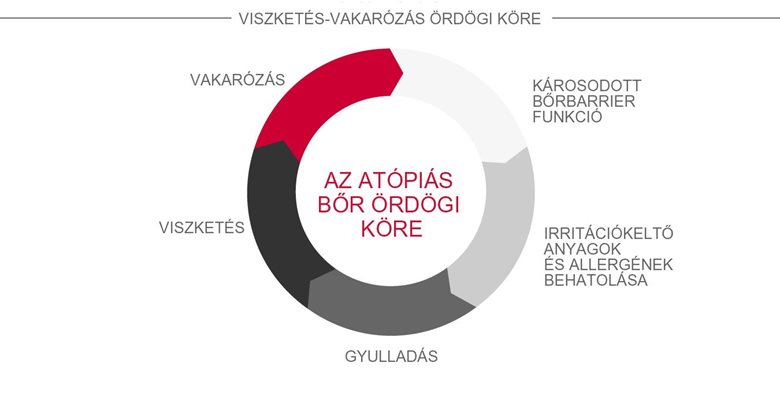 Az atópiás bőr ördögi köre (viszketés-vakarózás ciklusként is ismert)