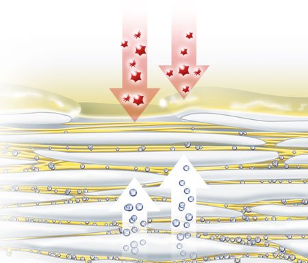 A  természetes hidratáló faktorok bőrből történő kiáramlásának illusztrációja