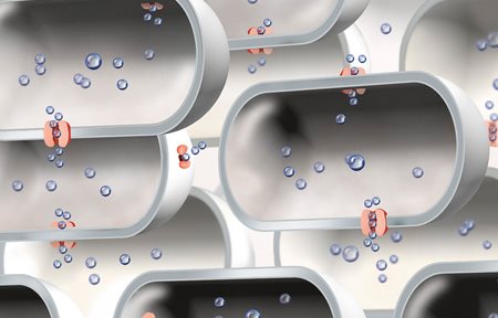 Az aquaporinok korlátozott számának illusztrációja