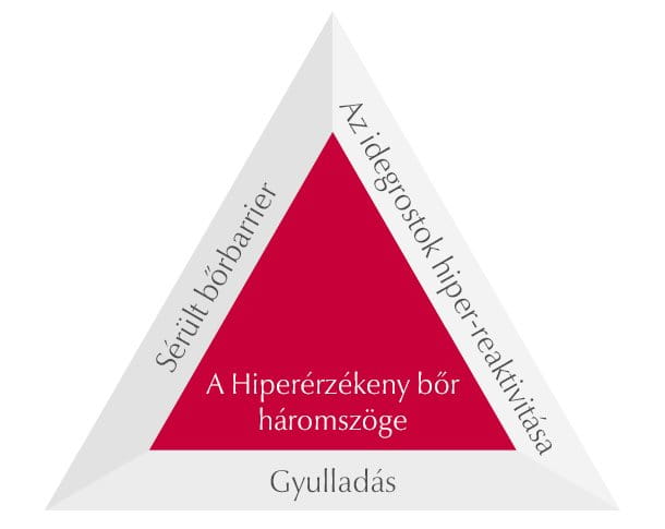 A Hiperérzékeny bőr háromszöge